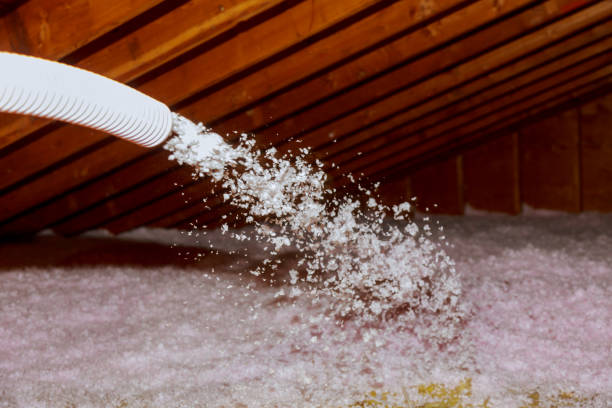 Best Residential Insulation Services  in Berryville, TX