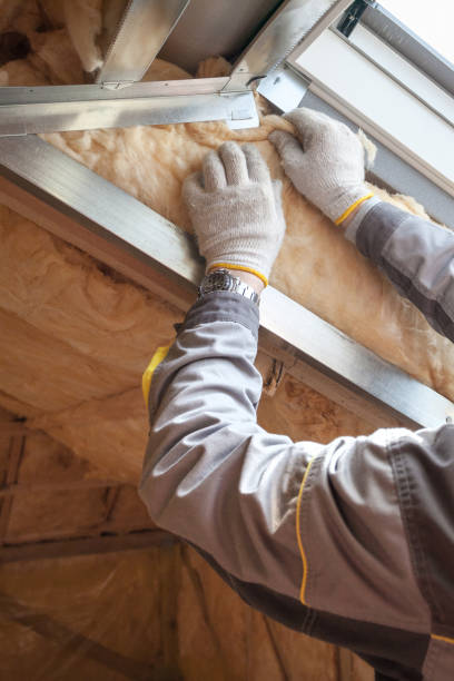 Best Wall Insulation Contractor  in Berryville, TX