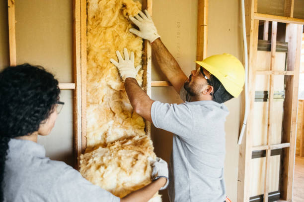 Best Attic Insulation Installation  in Berryville, TX