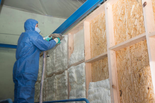 Best Spray Foam Insulation  in Berryville, TX